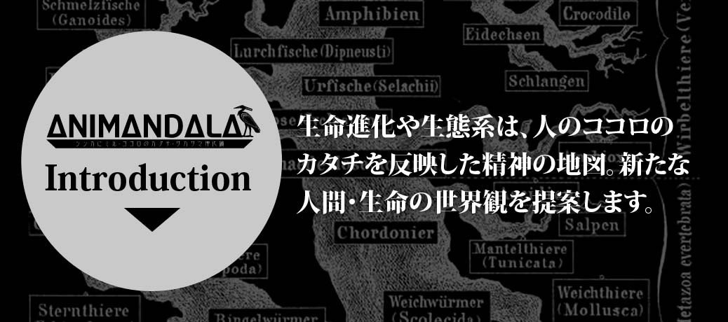 Introduction Introduction