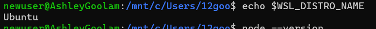 view the windows distro name