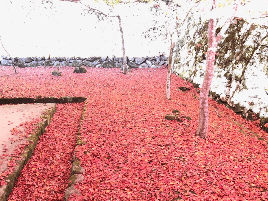 永源寺