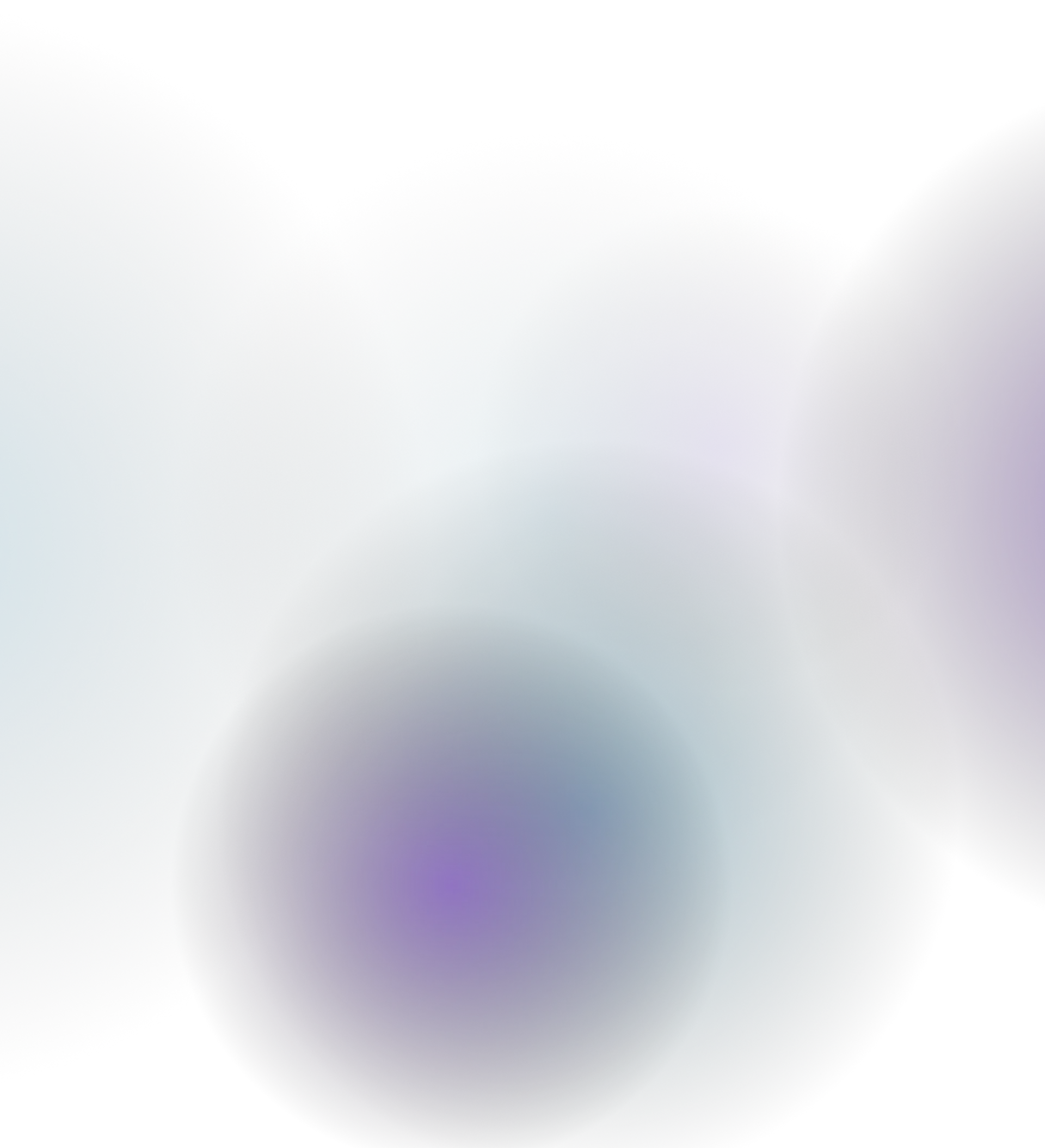 1172.webp