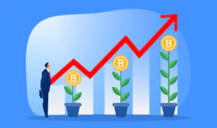 初心者に人気!仮想通貨の積立投資ができる国内取引所3選