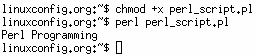 Perl Explicit Execution Perl Explicit Execution
