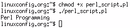 perl implicit execution perl implicit execution