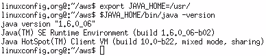 Setup java environmental variable