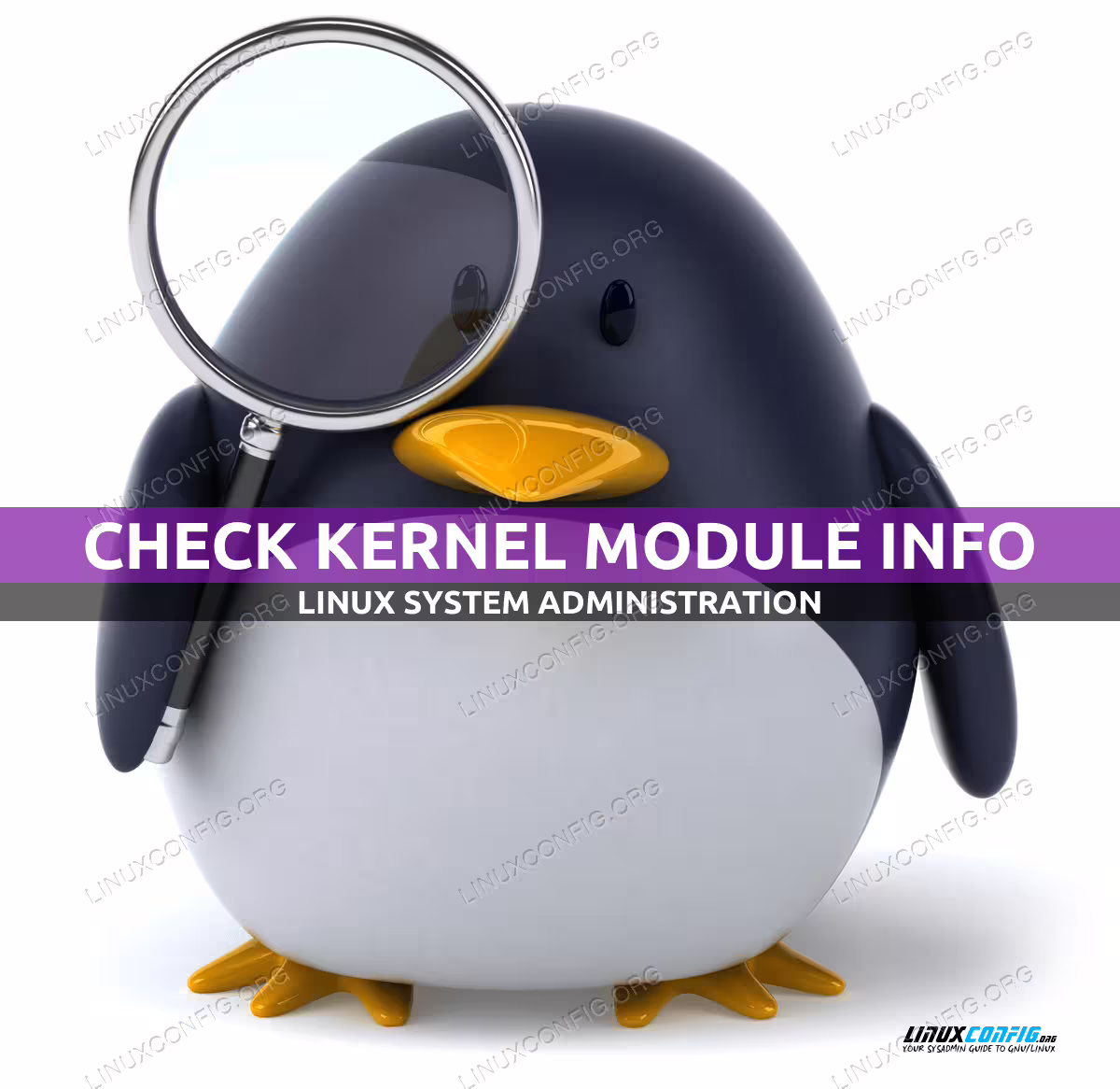 Check information of kernel module on Linux
