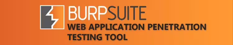 burp web penetration testing guide