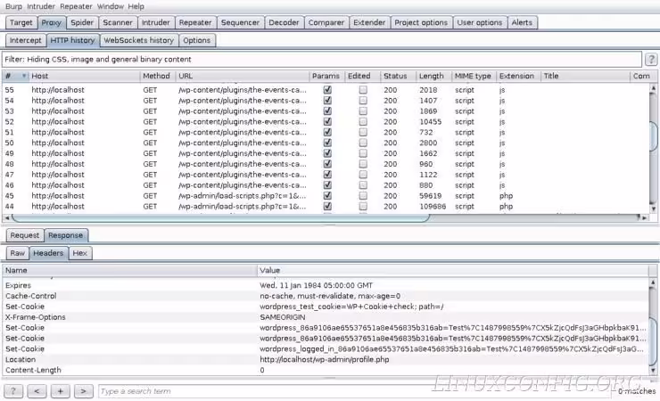 Successful WordPress login captured by Burp Suite