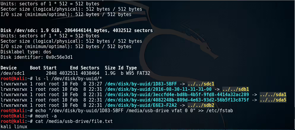 mount usb drive kali linux