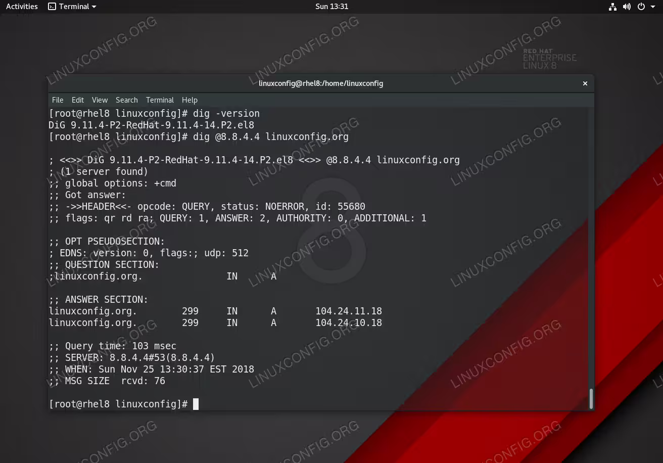 Dig command execution on RHEL 8 Linux Server/Workstation.
