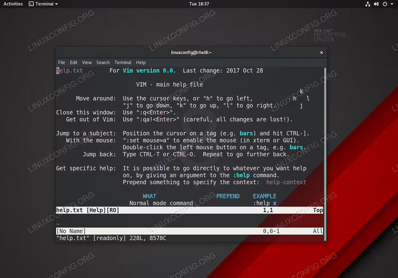 VIM text editor on RHEL 8 Linux Server/Workstation.