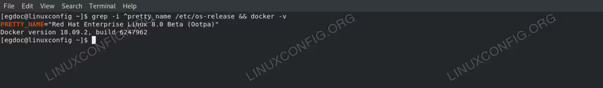 docker-RHEL 8 / CentOS 8