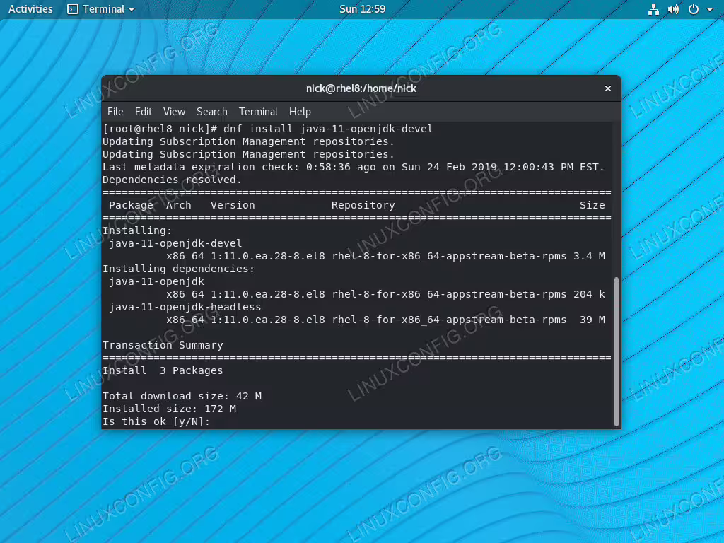 Install OpenJDK 11 on RHEL 8