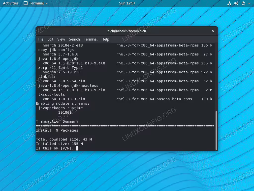 Install OpenJDK 8 on RHEL 8 / CentOS 8