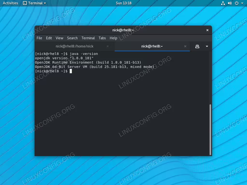 Check Java Version on RHEL 8