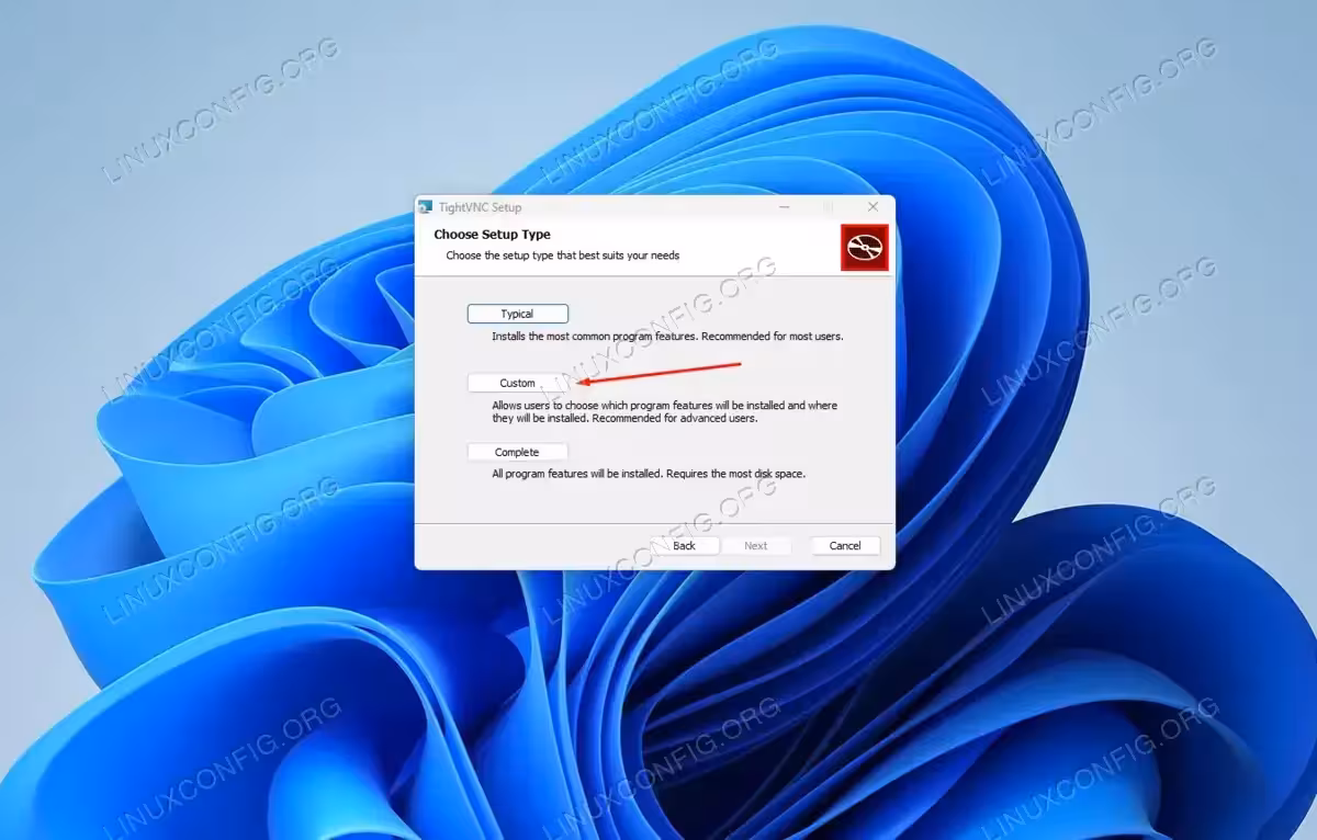 Choosing setup type in the VNC installation