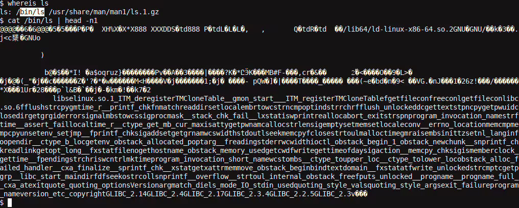 Binary Data