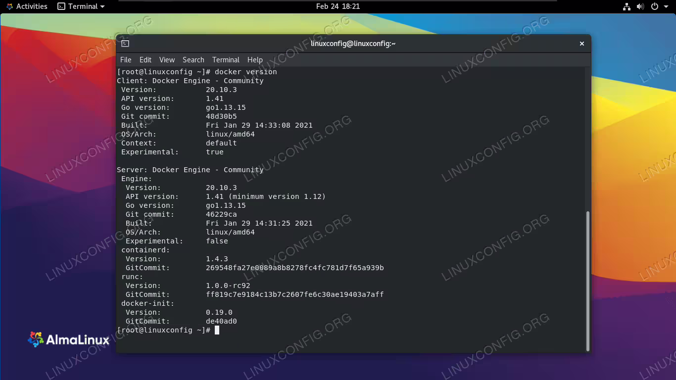 Output of docker version command