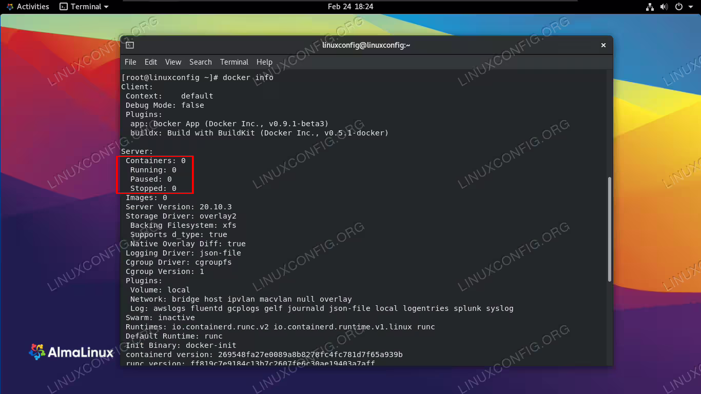 Output of docker info command showing its configuration