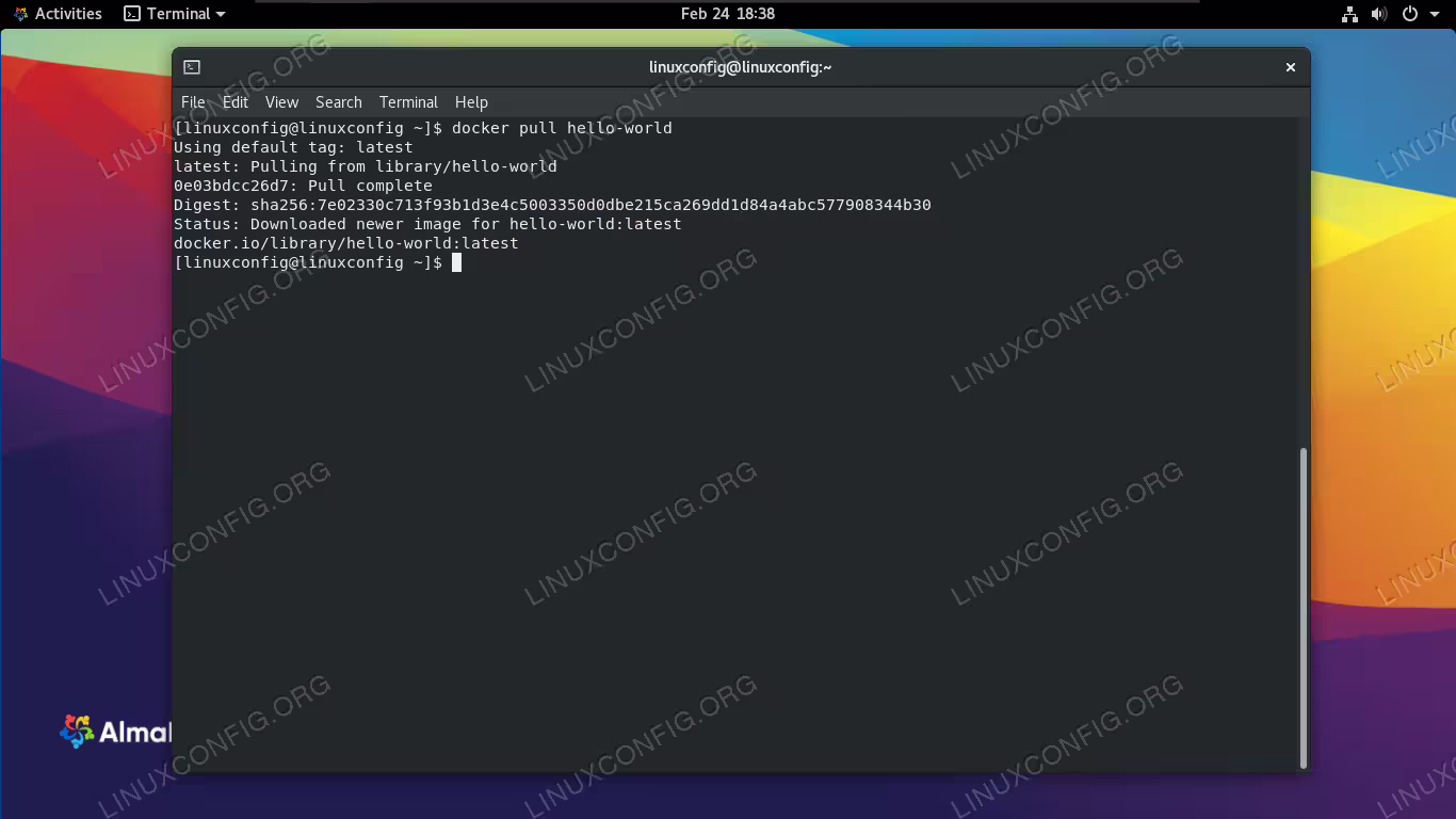 Docker downloading a container image