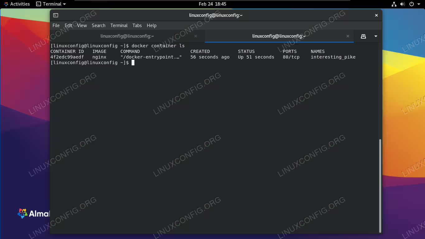 The docker container ls command shows currently running containers
