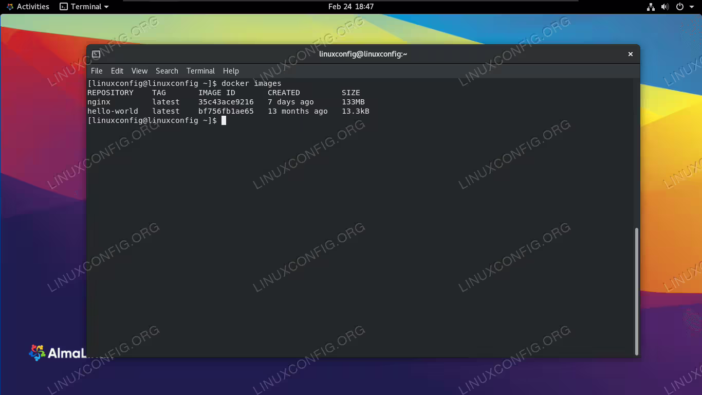 The docker images command shows which images are currently installed in Docker