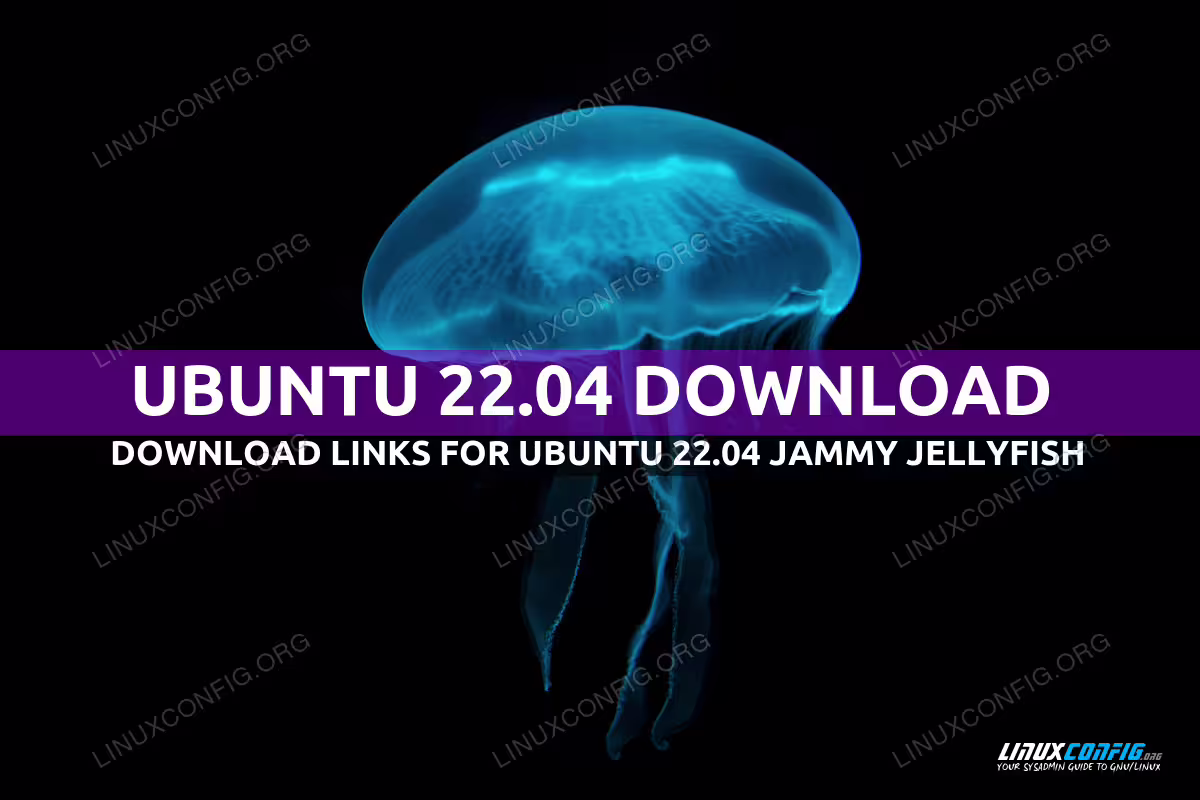 How To Download Ubuntu 22.04.5 LTS Jammy Jellyfish