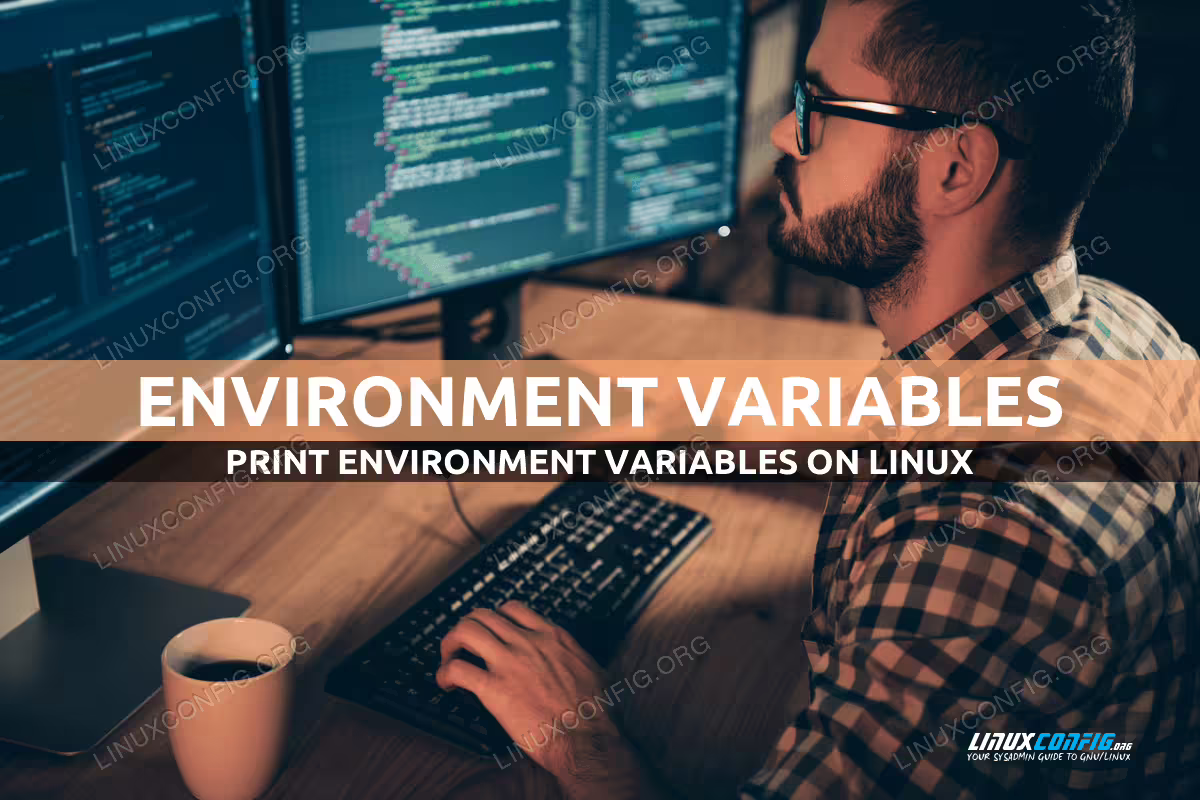 How to print environment variables on Linux