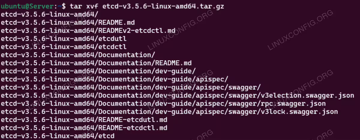 Extract the downloaded archive