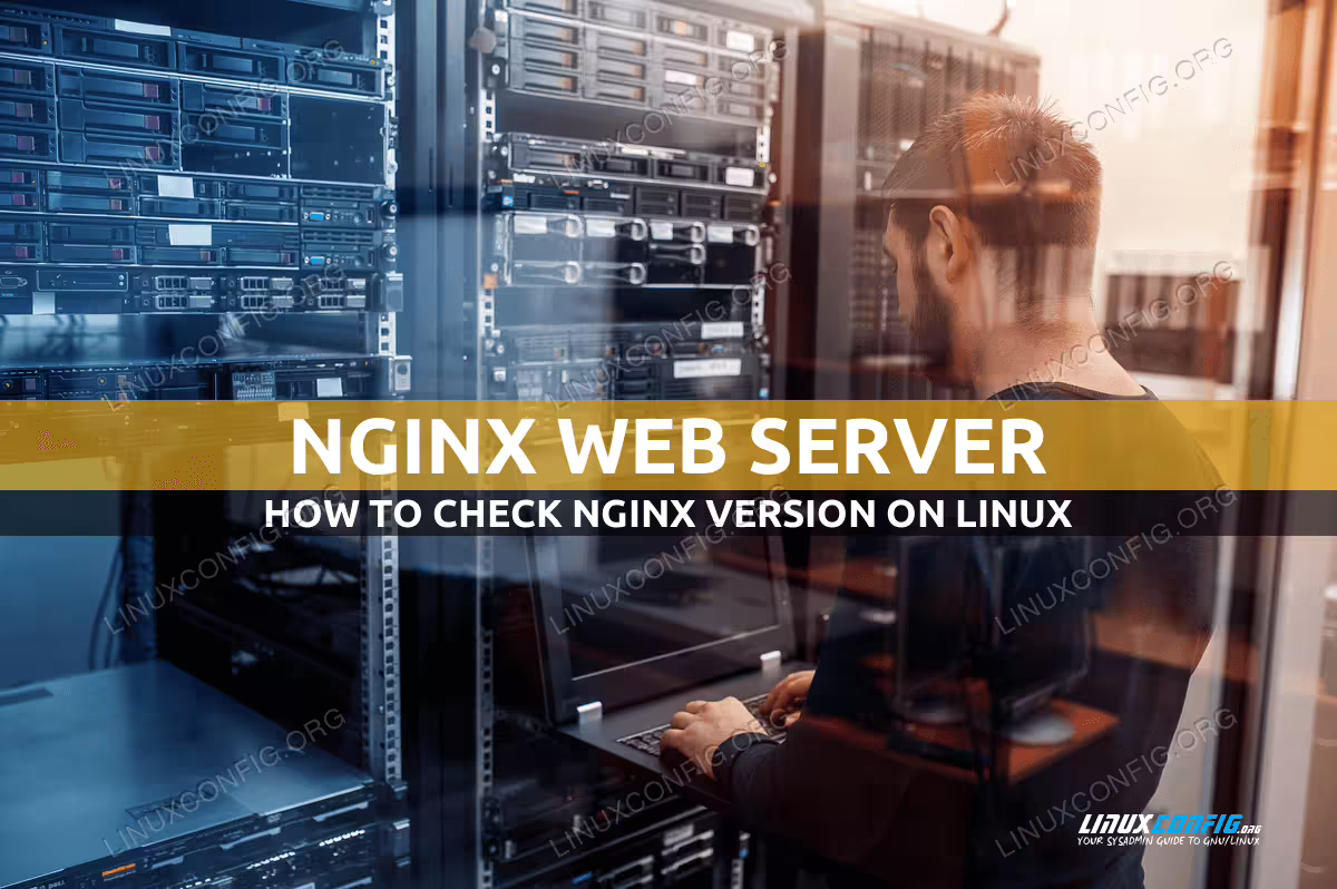 How to check Nginx version on Linux