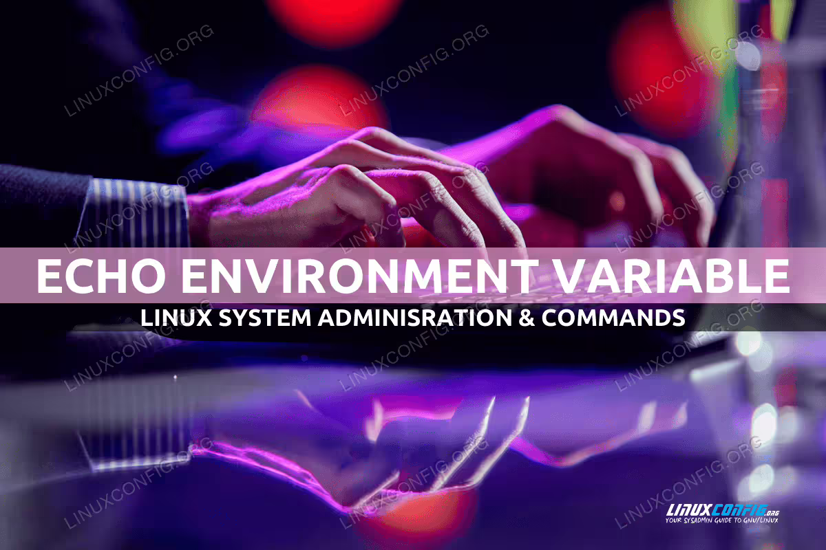 How to echo environment variable on Linux