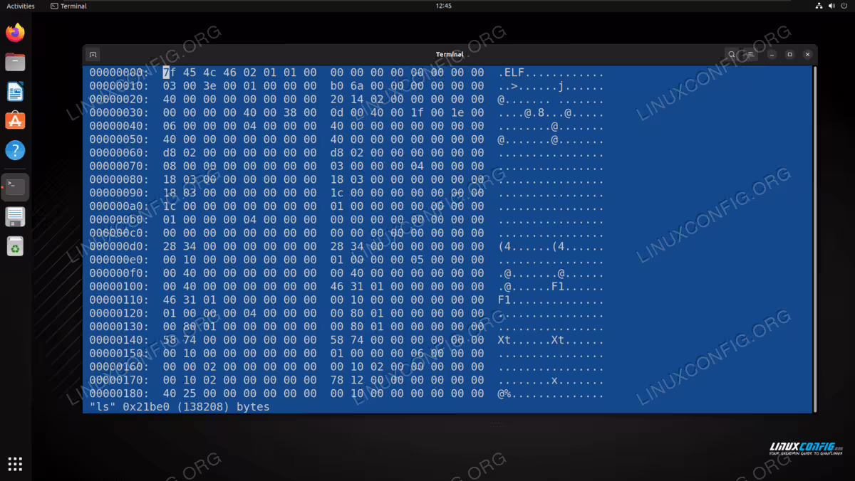 Using the hexer hex editor on Linux