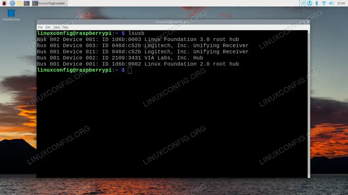 Output of lsusb command on Raspberry Pi