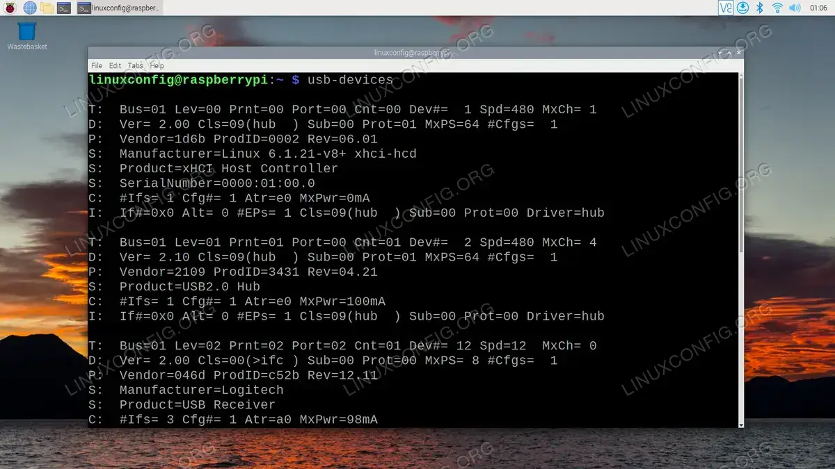 Output of usb-devices command on Raspberry Pi