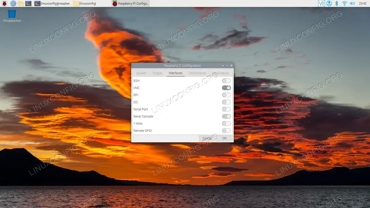 Enabling VNC from the Interfaces tab