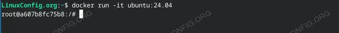 Run Ubuntu 24.04 Docker Container