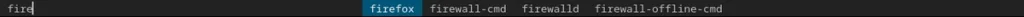 dmenu search filter