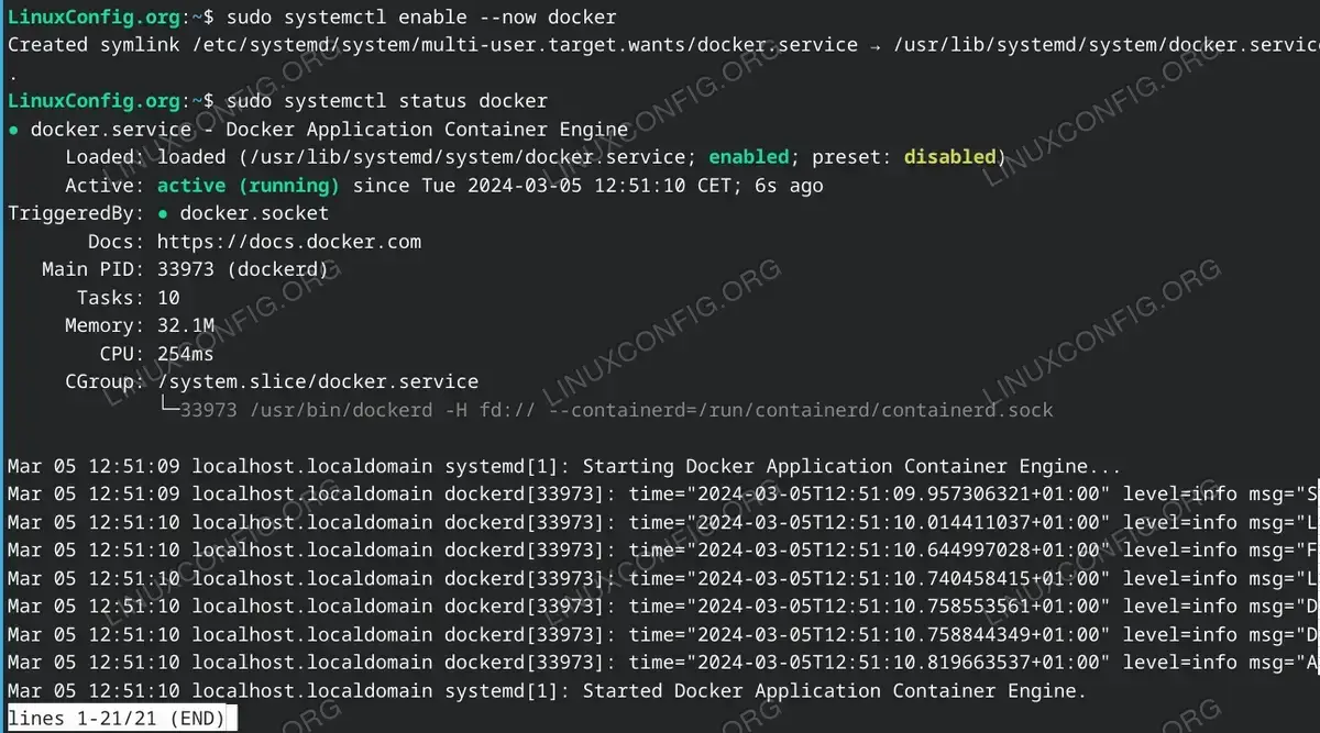 Enable Docker to start after reboot and start the Docker service