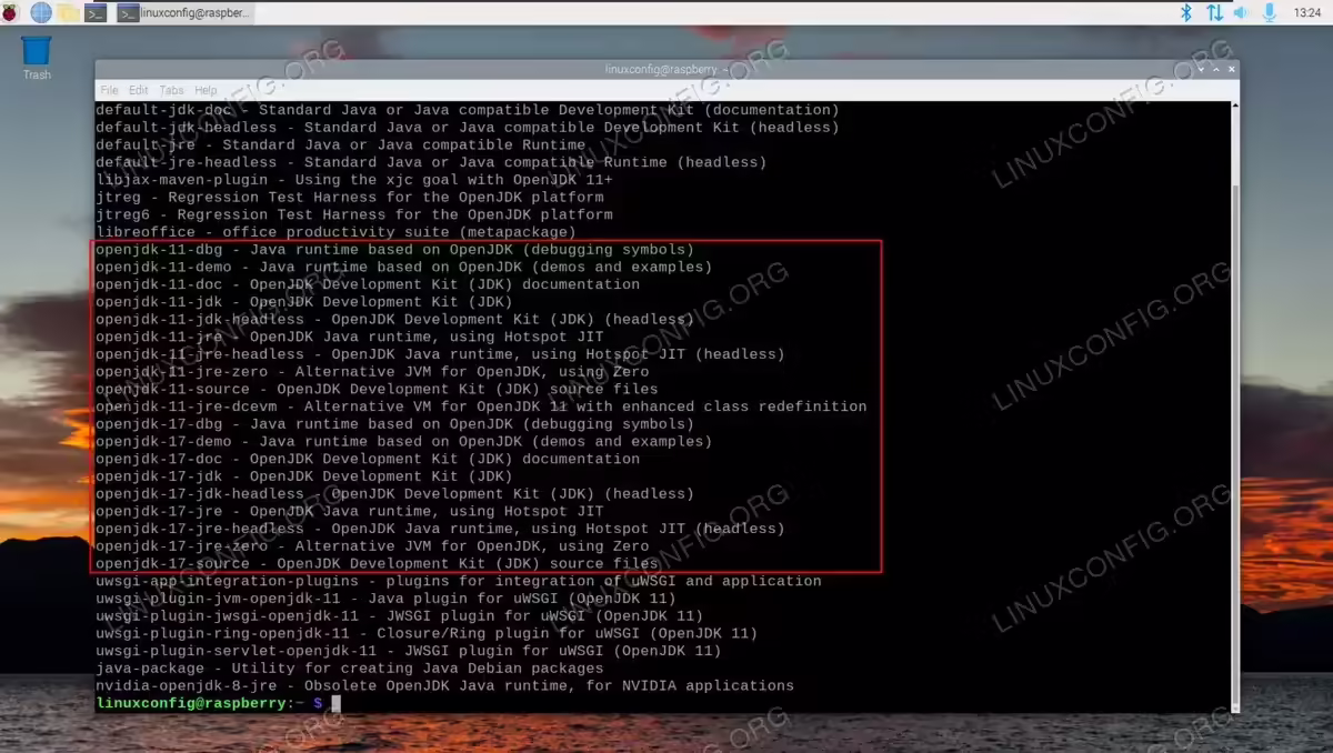 Java versions that are available for installation on Raspberry Pi