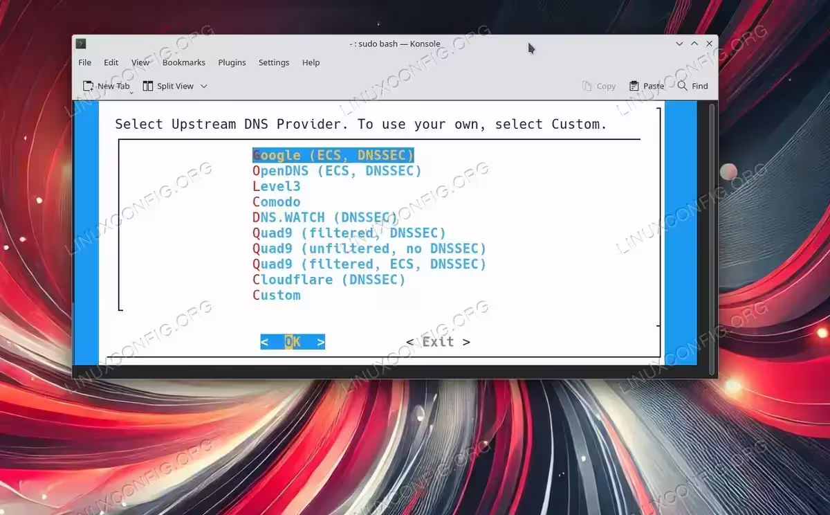 Choose the DNS provider