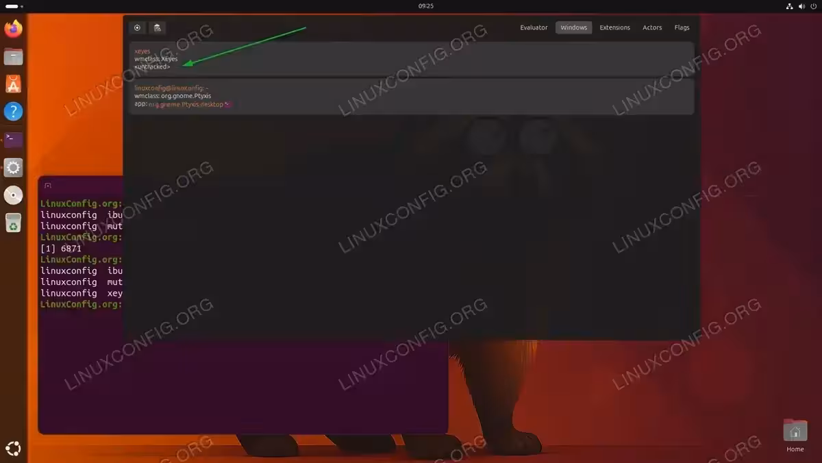 GNOME Looking Glass Windows tab showing xeyes as an untracked XWayland window and the Ptyxis terminal as a native Wayland window on Ubuntu 26.04