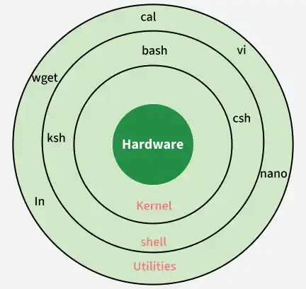 shell_in_os