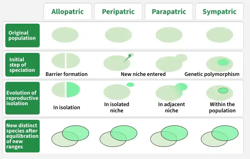 types_of_speciation
