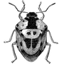 harshit15 profile