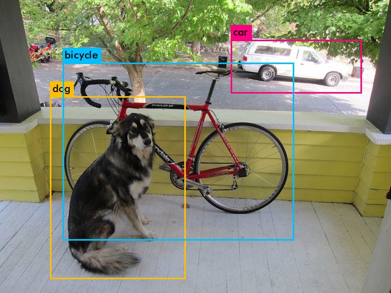 dog.jpg Detected Objects