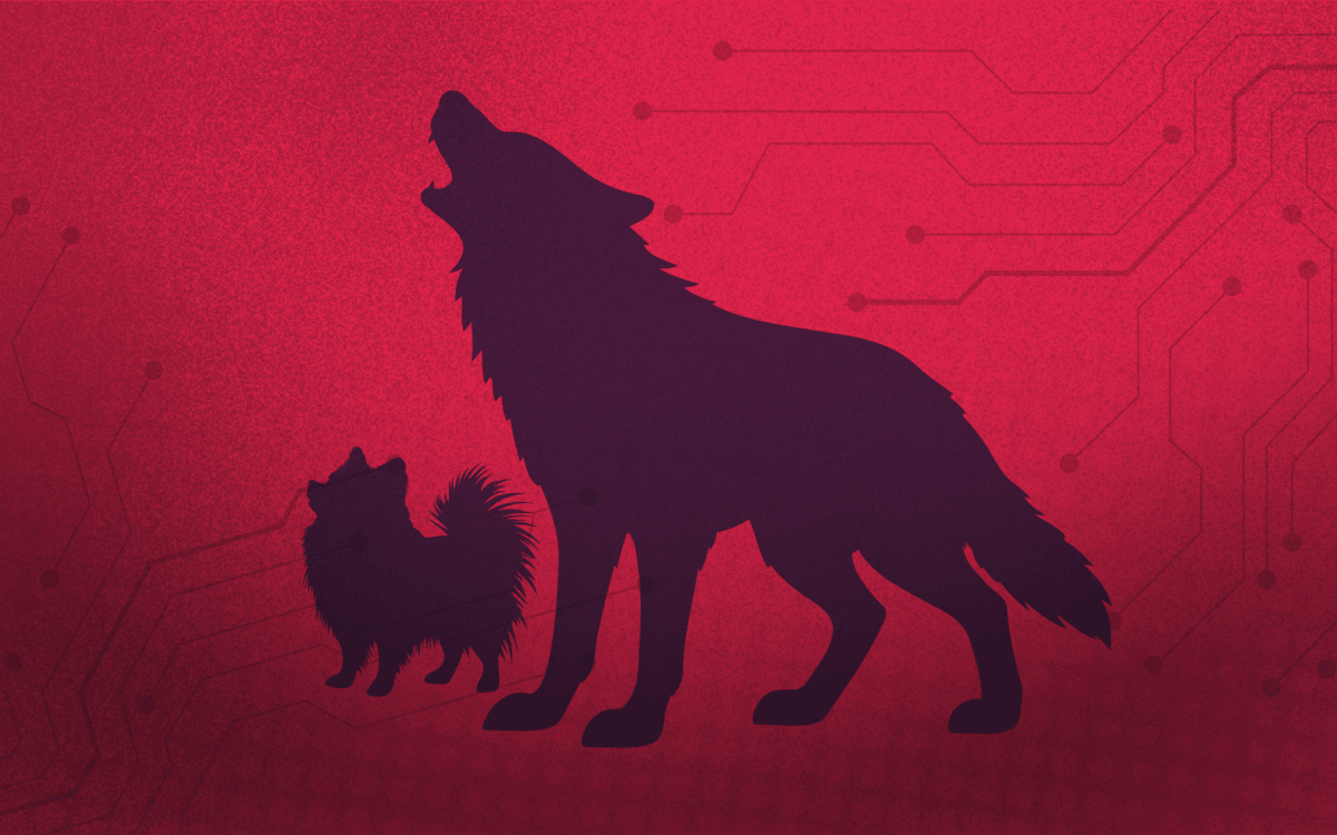 wolf and small Pomeranian
