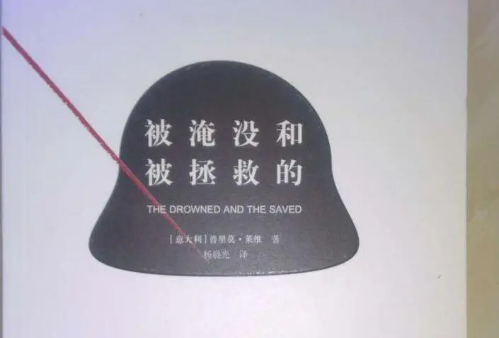 《被淹没的与被拯救的》的读后感作文3000字