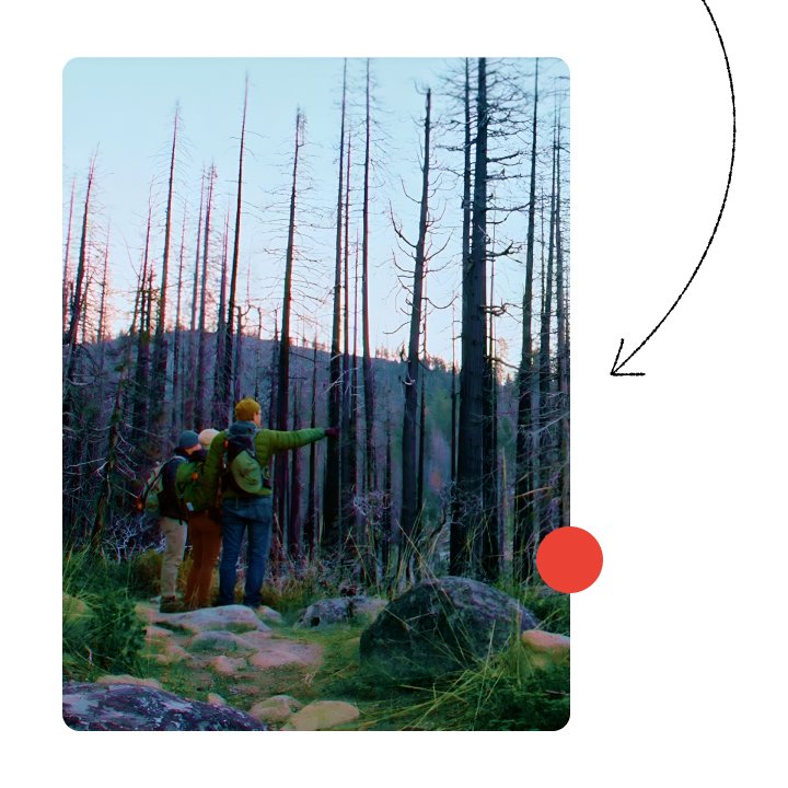 ResponsibleResearch