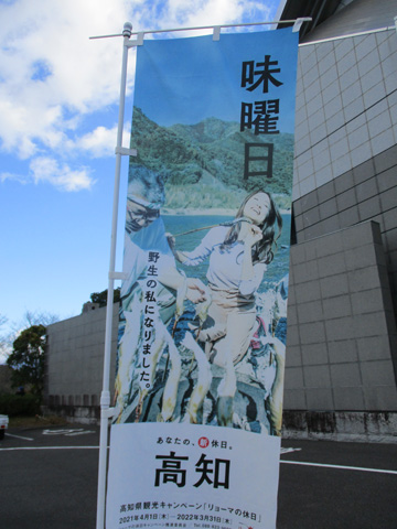 yasei