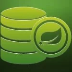 spring data