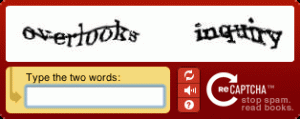 recaptcha-example (1)